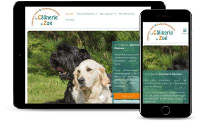 Création site internet pour educateur canin